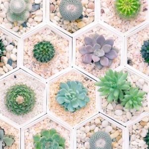 Meet your Posher, Aubrey